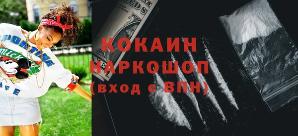 гидра Мегион
