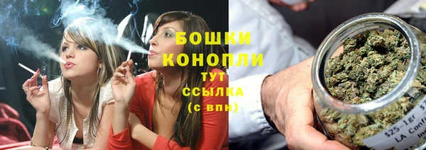 бошки Медногорск