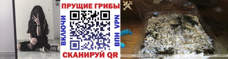 Купить закладки  Зарайск  Галлюциногенные грибы Magic Shrooms 
